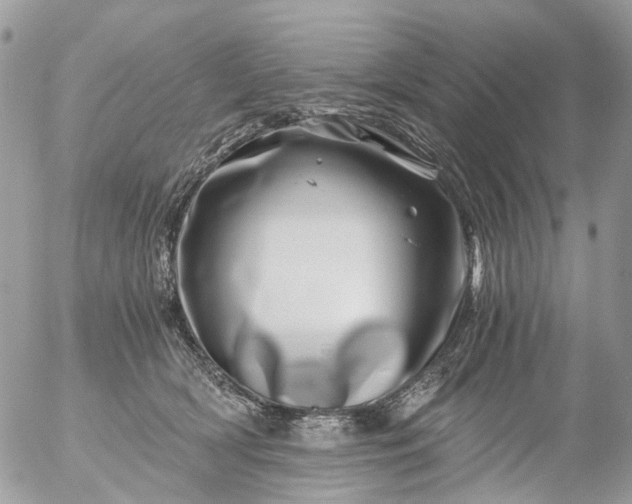 X0000056320418200509092307