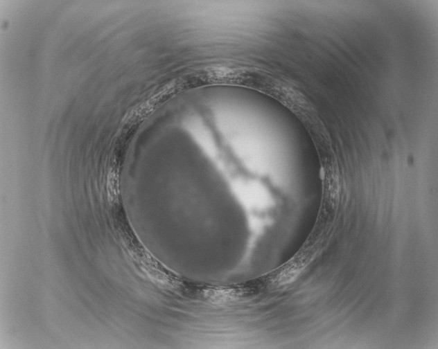 X0000056320419200509092307