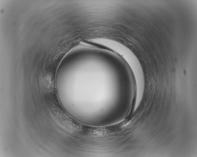 X0000056320420200509092307