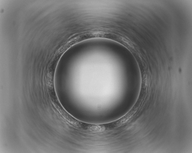 X0000056320421200509092307