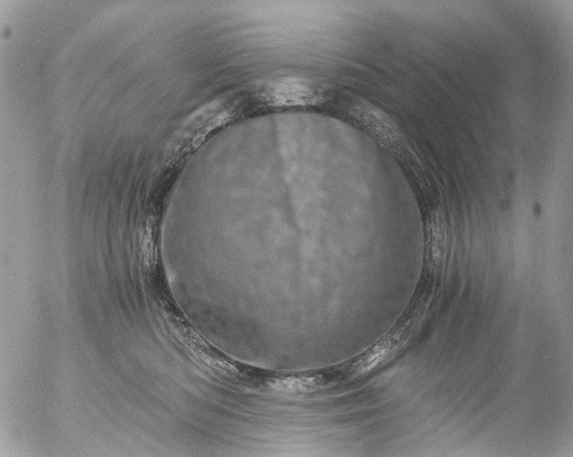 X0000056320422200509092307