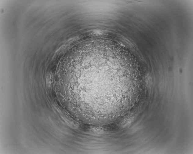 X0000056320423200509092307