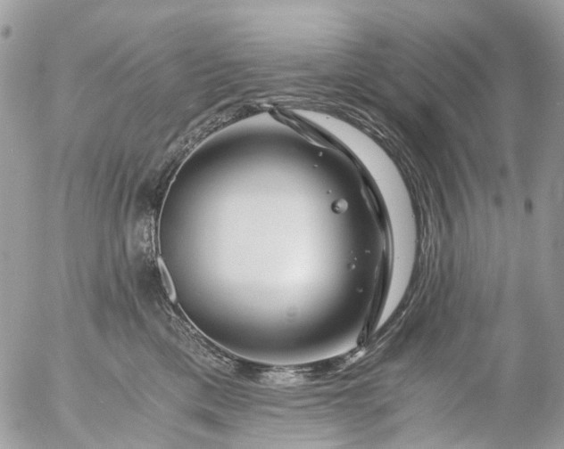 X0000056320425200509092307