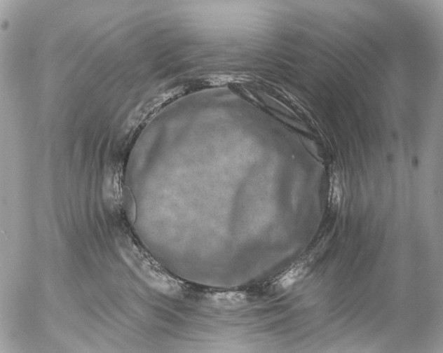 X0000056320426200509092307