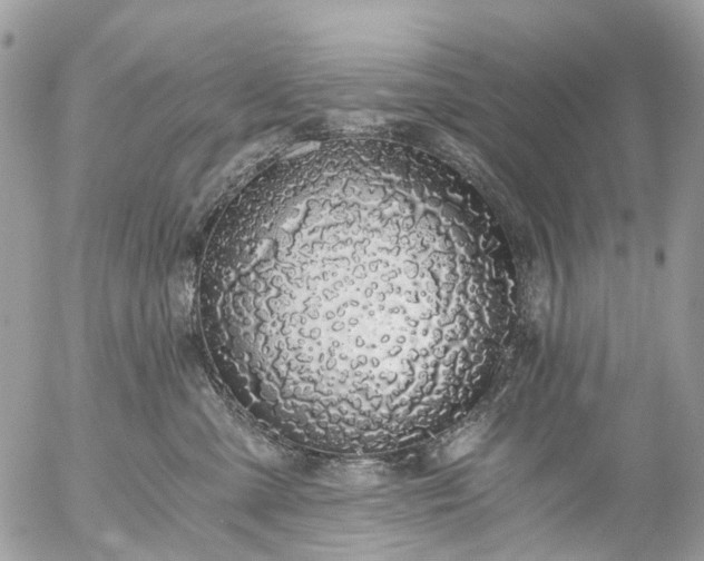 X0000056320427200509092307