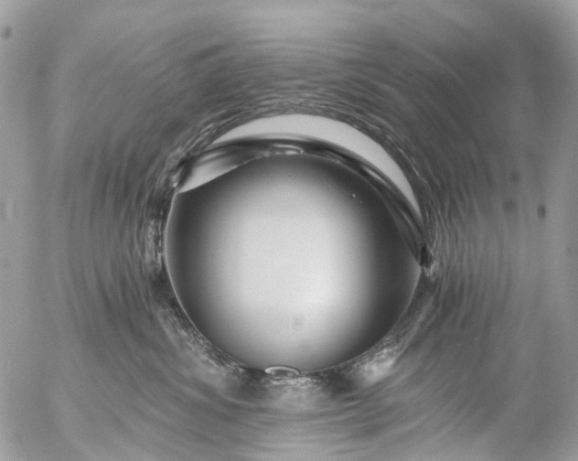 X0000056320428200509092307