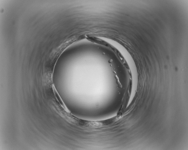 X0000056320429200509092307