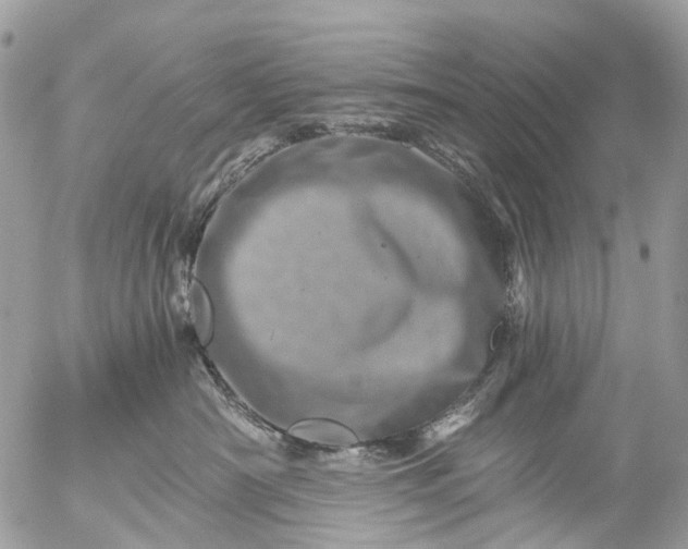 X0000056320430200509092307