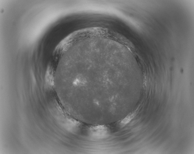 X0000056320431200509092307