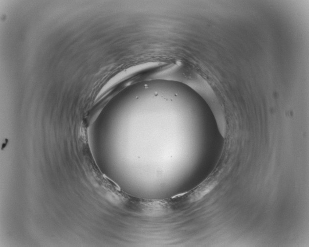 X0000056320432200509092307