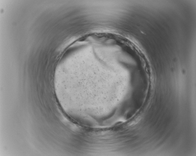 X0000056320433200509092306