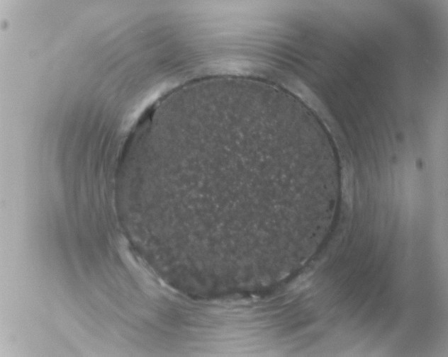 X0000056320434200509092306