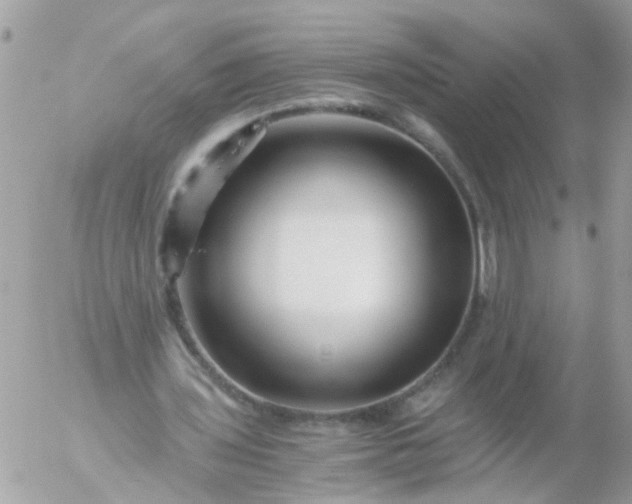 X0000056320435200509092306