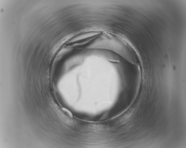 X0000056320437200509092306