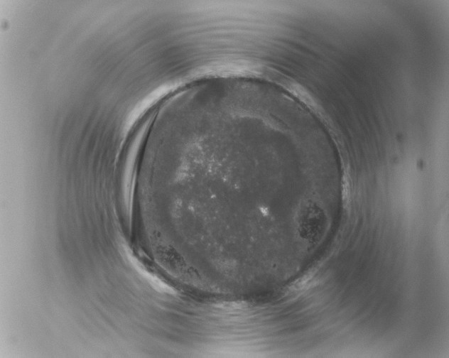 X0000056320438200509092306