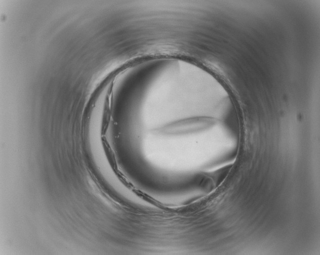 X0000056320439200509092306