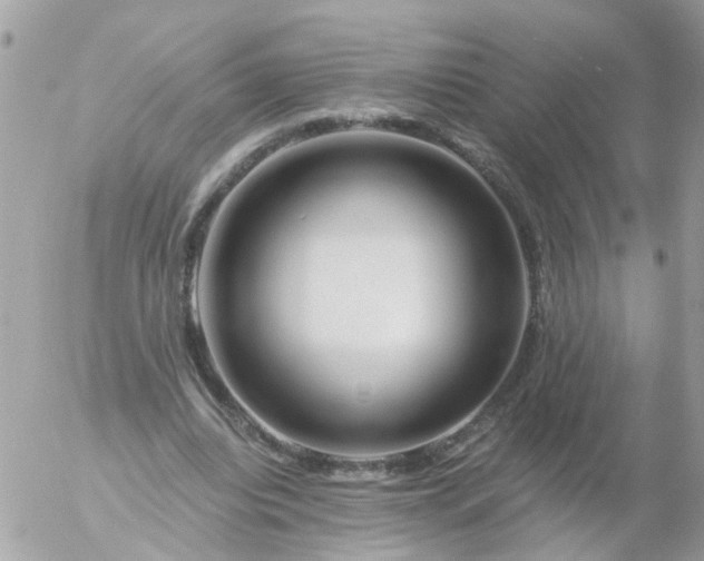 X0000056320440200509092306