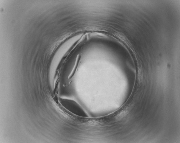 X0000056320441200509092306