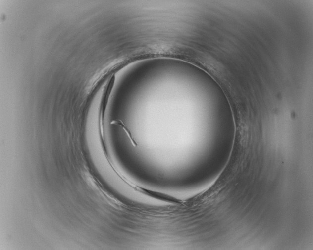 X0000056320442200509092306