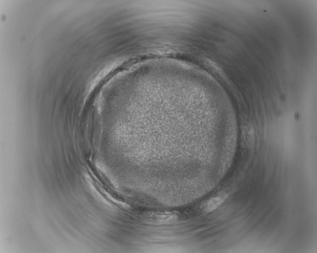 X0000056320443200509092307