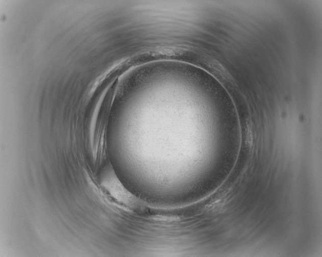 X0000056320444200509092307