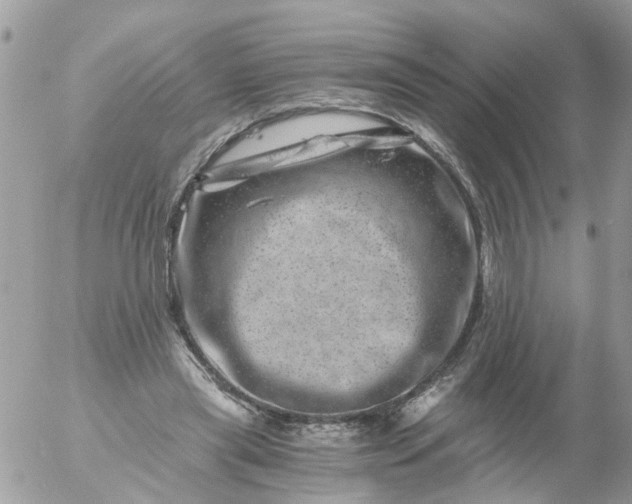 X0000056320445200509092307