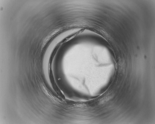 X0000056320446200509092307