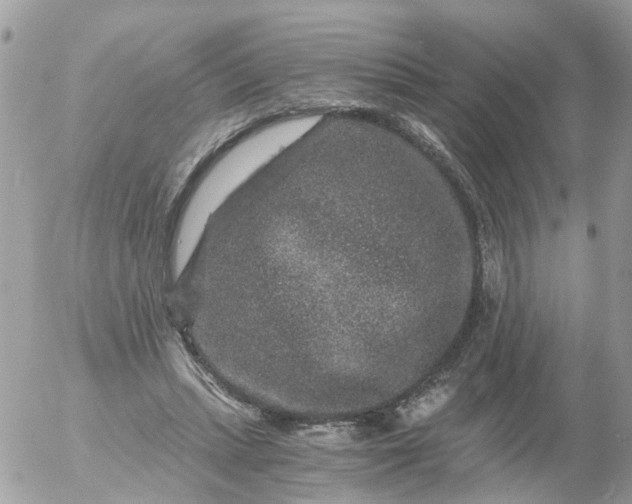 X0000056320447200509092307