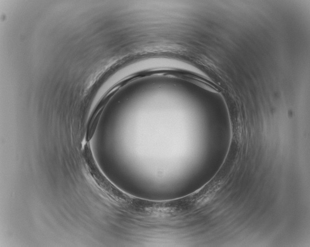 X0000056320448200509092307