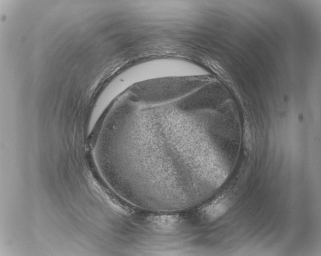 X0000056320449200509092307