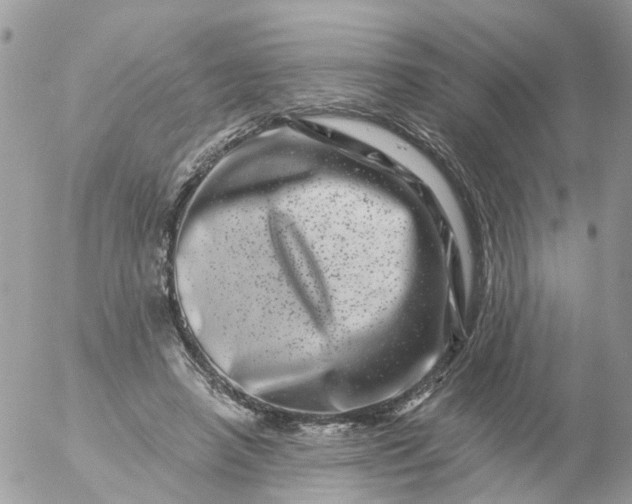 X0000056320450200509092307