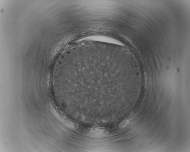 X0000056320451200509092307