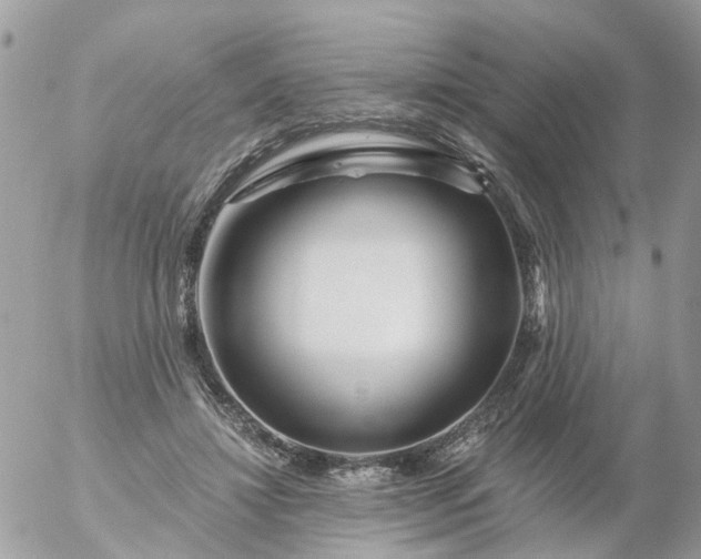 X0000056320452200509092307