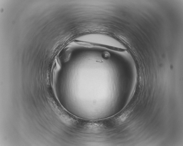 X0000056320453200509092307