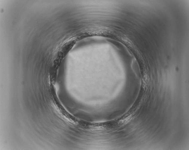 X0000056320454200509092307