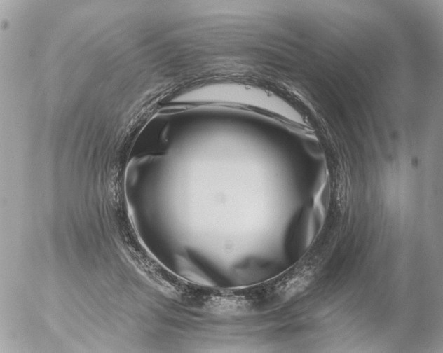 X0000056320455200509092307