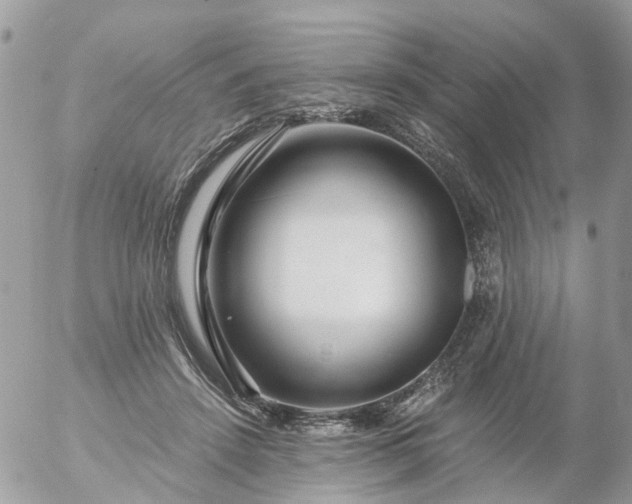 X0000056320456200509092307