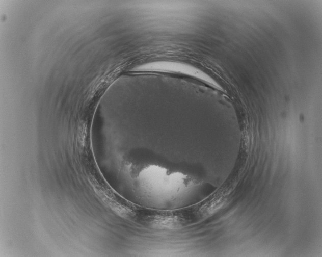 X0000056320458200509092307