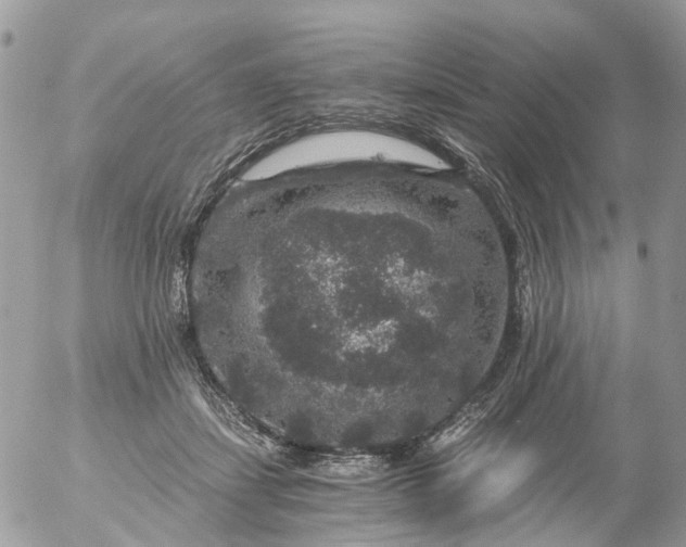 X0000056320459200509092307