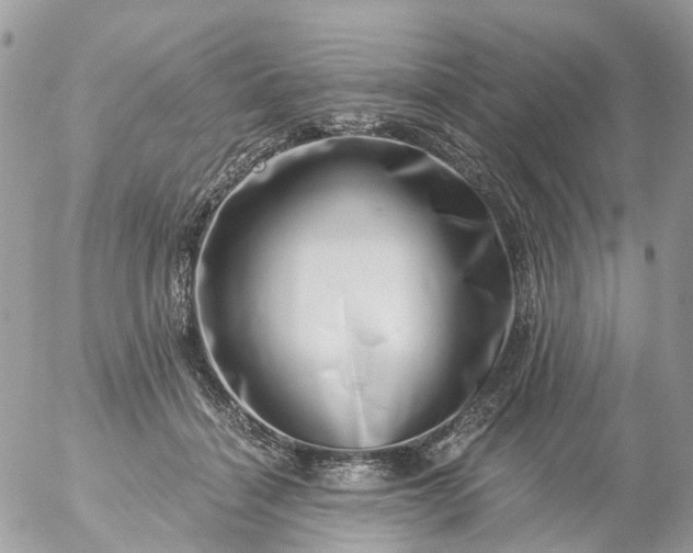 X0000056320460200509092307