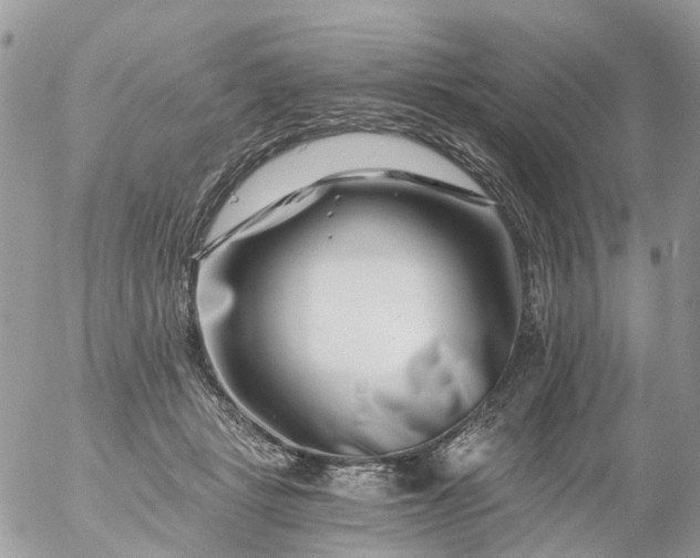 X0000056320461200509092307