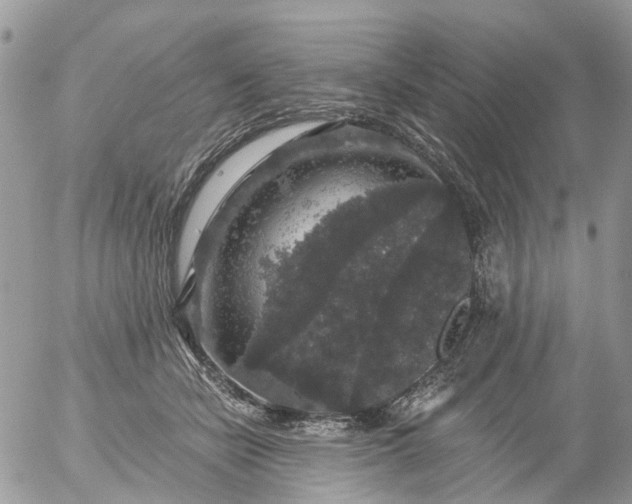 X0000056320462200509092307