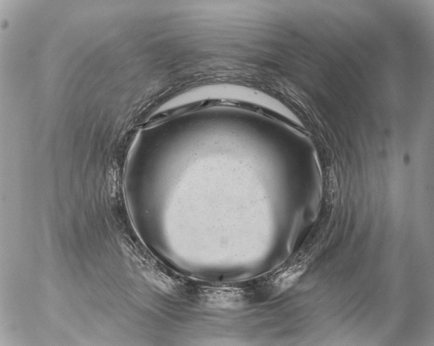 X0000056320463200509092307