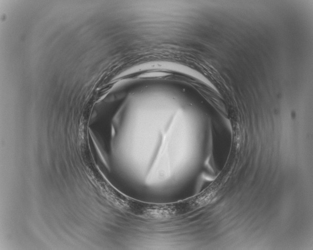 X0000056320466200509092307