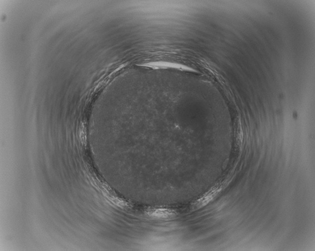 X0000056320467200509092307