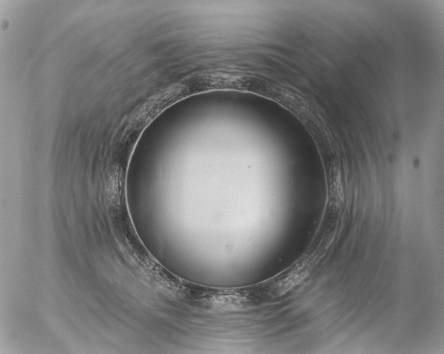 X0000056320468200509092307