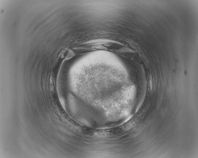 X0000056320470200509092307