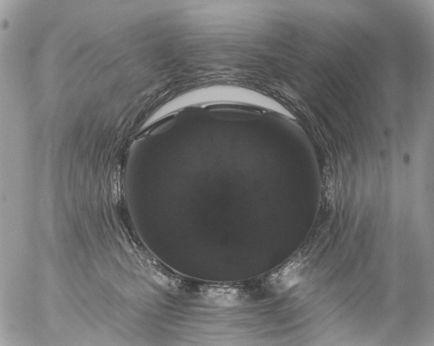 X0000056320471200509092307