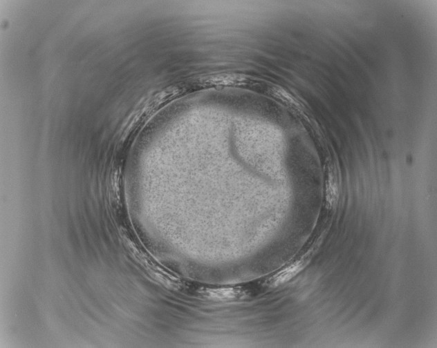 X0000056320473200509092307