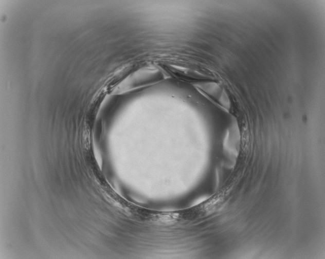 X0000056320474200509092307